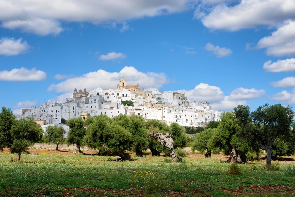 Ostuni, the white city of Puglia with olive trees